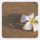 Suche nach plumeria aufkleber Sandsand