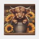 Recherche de montagnard magnets Vache montagnarde