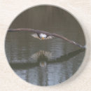 Suche nach adler untersetzer Tierwelt