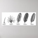 Recherche de scientific posters Illustration