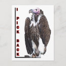 Suche nach vulture poster Bussard