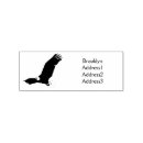 Recherche de dessin d aigle Rapace