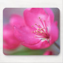 Recherche de apple tapis souris Photographie