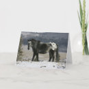 Suche nach appaloosa karten Stehend