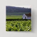 Recherche de vignoble badges Vigne