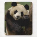 Suche nach großer panda mousepads Tier