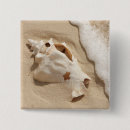 Recherche de coquillage badges Sable