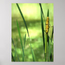 Suche nach stoßdämpfer poster Käfig