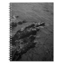 Recherche de roches photographie Côte