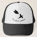 Recherche de le faucon casquettes Pérégrin