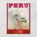 Suche nach llamas postkarten Peru