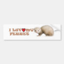 Recherche de furet voiture autocollants Animal familier