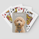Recherche de chiens jeux de cartes Toute personne
