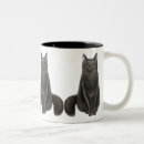 Recherche de chat noir chanceux Chats noirs