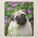 Suche nach lustige maus decken Hund
