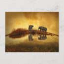 Suche nach asiatisch postkarten Elefant