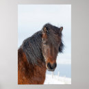 Suche nach icelandic poster Grenze danita