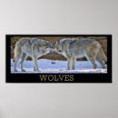 Suche nach bedrohte tiere poster Raubtiere