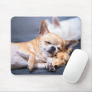 Suche nach chihuahua hund mousepads Haustiere