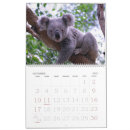 Suche nach koala kalender Australien
