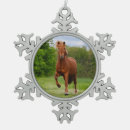 Suche nach isländische weihnachtsschmuck Pferd