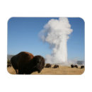 Suche nach yellowstone magnete Montana