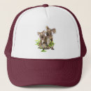 Recherche de koala casquettes Ours