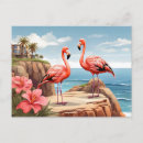 Suche nach rosa wasser postkarten Flamingo