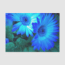 Recherche de brillant papier mousseline Fluorescent