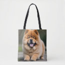 Recherche de chow chow accessoires Animaux domestiques