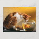 Recherche de poisson rouge drôle cartes postales Chat