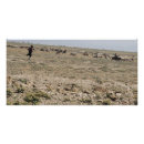 Suche nach rennes poster Landschaft