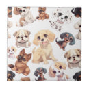 Recherche de toilette carreaux Dog