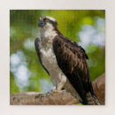 Recherche de le colorado puzzles Parc