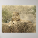 Recherche de jungle de safari posters Chat