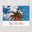 Recherche de plantes vertes cartes postales Pour tous