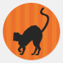 Suche nach scaredy katze Orange