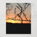 Suche nach sonnenuntergang flyer Fotografie