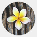Suche nach invitation aufkleber Blume