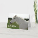 Suche nach horses greeting karten Photography