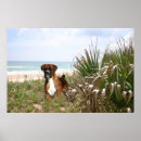 Recherche de cache cache art Animaux