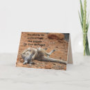 Suche nach kängurus karten Tierfotografie