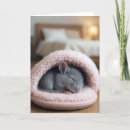 Suche nach kuscheln karten Süß