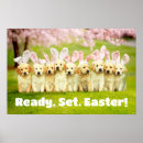 Suche nach lustiger osterhase poster Ostern