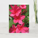 Suche nach kreationen karten Gruß