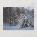 Suche nach sauer karten Schnee