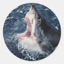 Suche nach erhöht aufkleber Tag