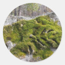 Suche nach grabsteine aufkleber Kopfstein