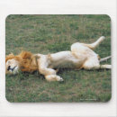 Suche nach ausdehnen mousepads Horizontal