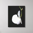 Suche nach festes schwarzes kunst Blume